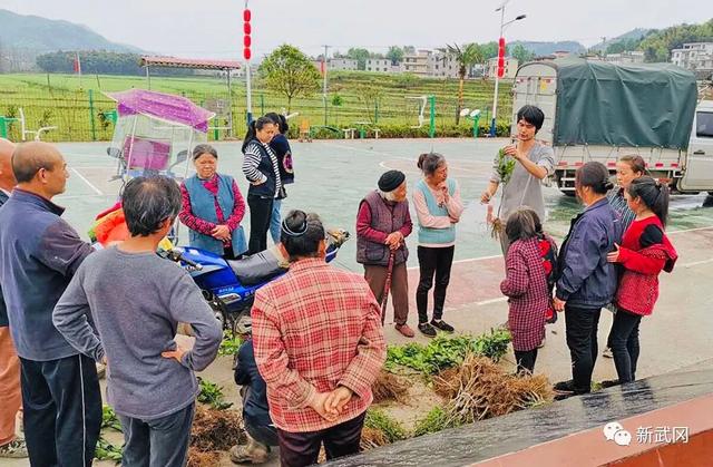武岡:著力打造“五小園”各家各院推窗見綠推門見景