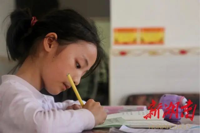 武冈这个村，国家补贴了23万！