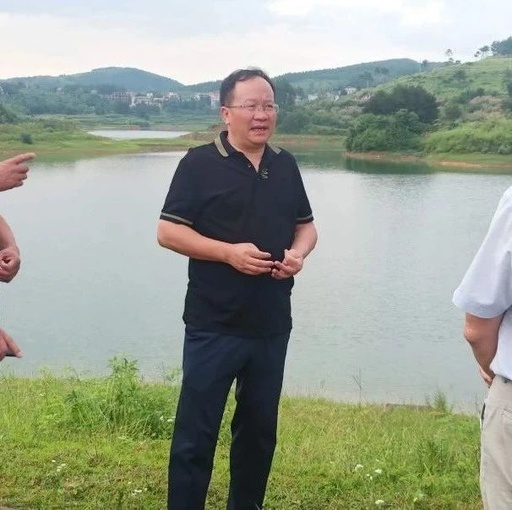 武冈市长唐克俭赴乡镇检查督导防汛工作