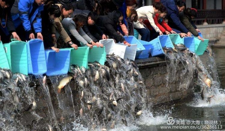 放生（笔记小说）