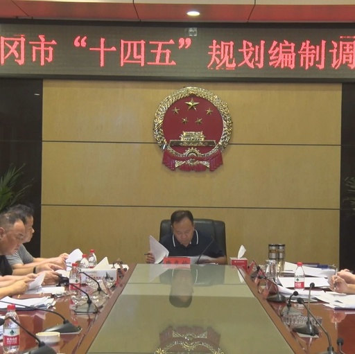 武冈市长唐克俭：科学谋划高质量编制“十四五”规划