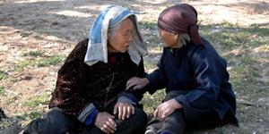 借种（第一个故事）