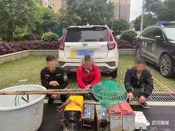 圖片