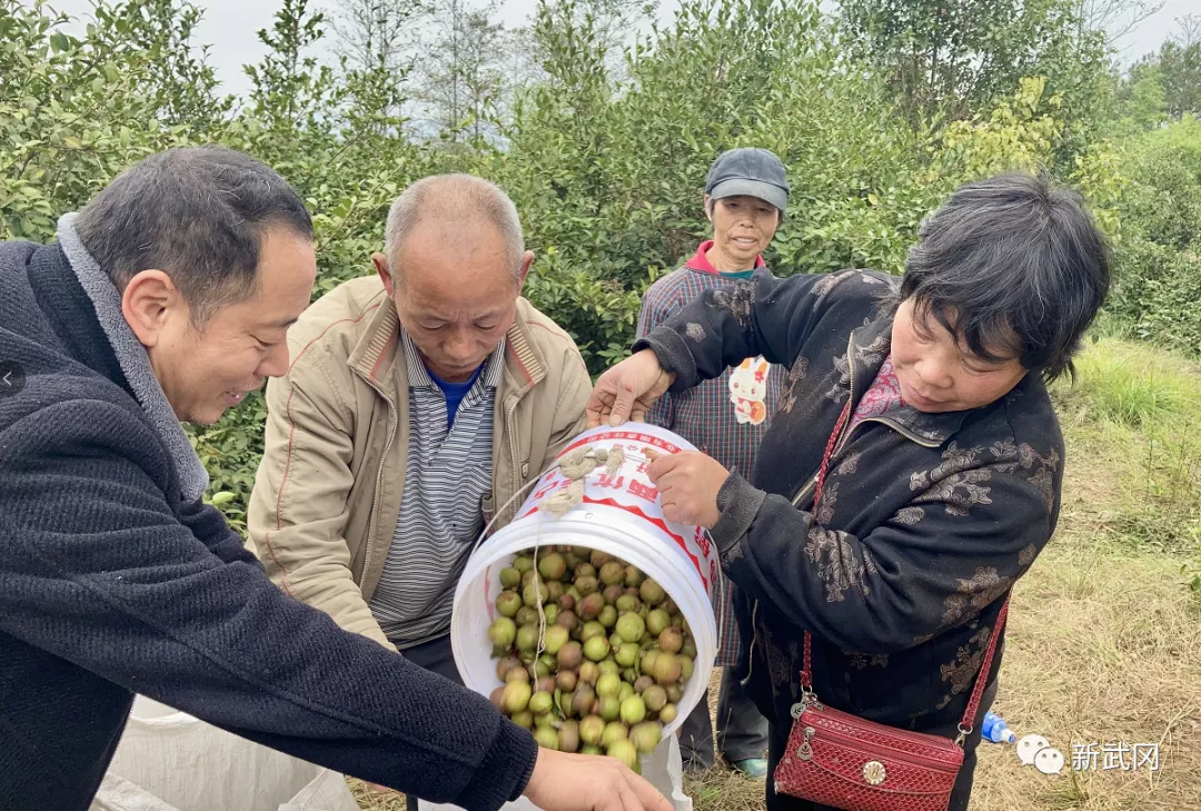 圖片