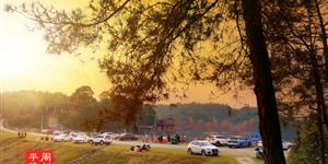 武冈这片水杉林，现在红得醉人美不胜收，每天游客爆满！