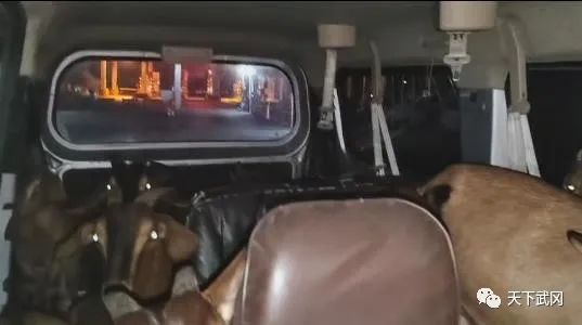 湖南一駕駛員開面包車載11只活山羊上高速被查,罰款100元 圖片