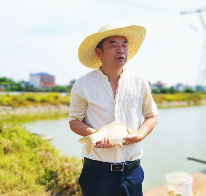 圖片