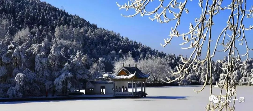 散文：安然无“阳”