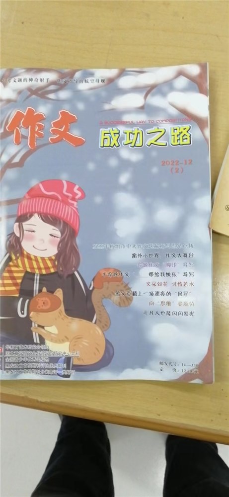 承华夏梦想，筑强国盛世《作文成功之路》