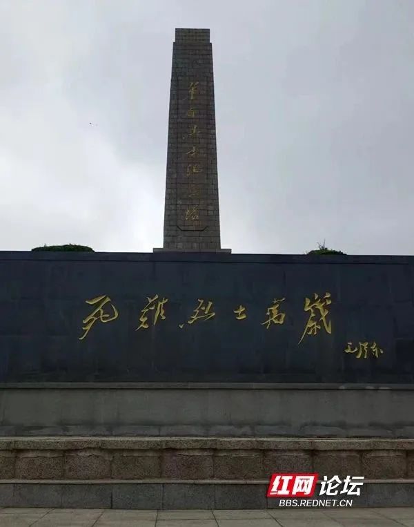 31.jpg 圖片