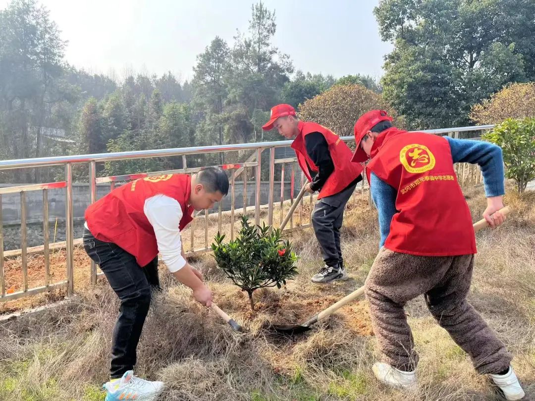 圖片