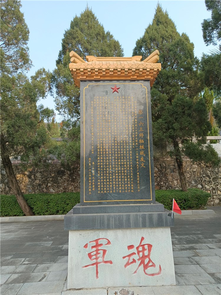 为了忘却的纪念——武冈籍越战烈士亲属赴广西祭扫烈士墓