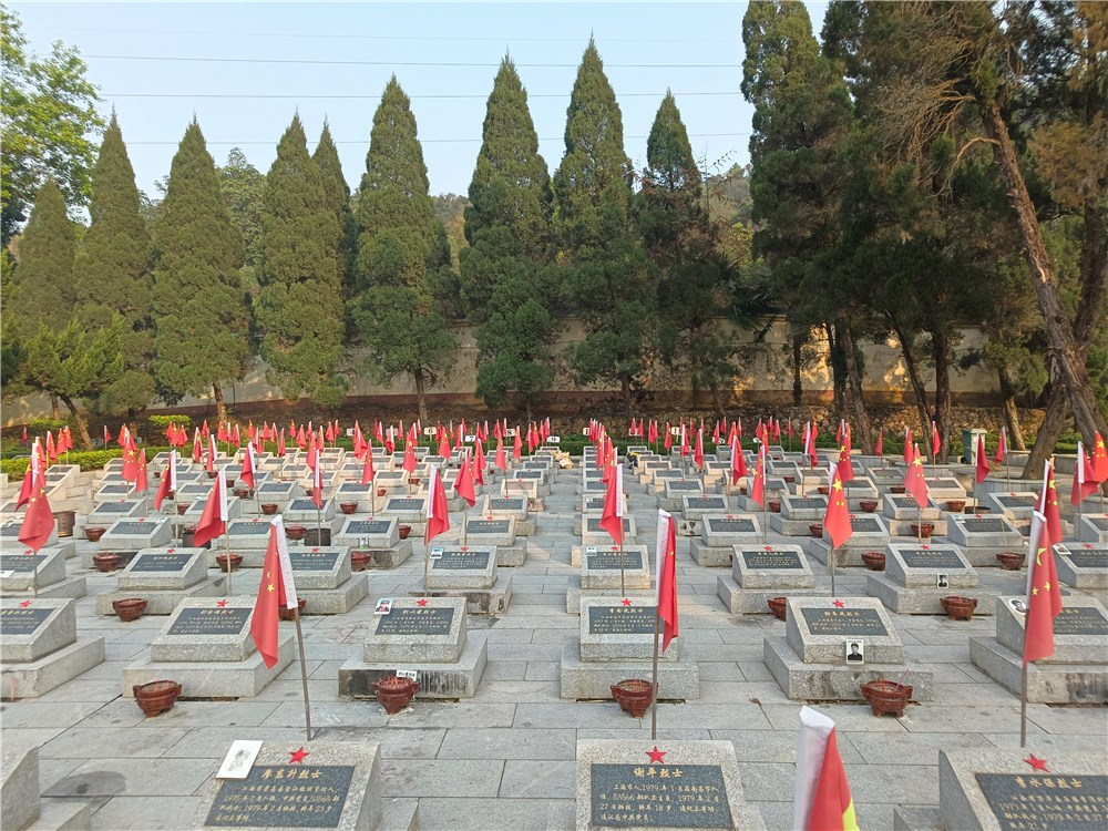 为了忘却的纪念——武冈籍越战烈士亲属赴广西祭扫烈士墓