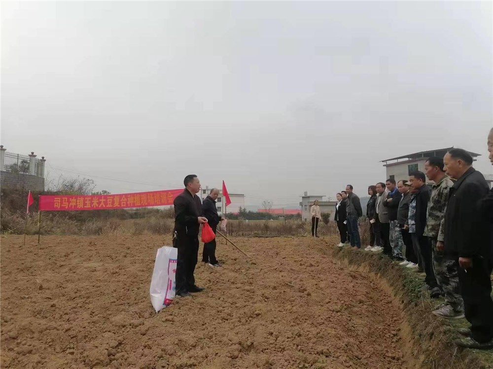 司马冲镇开展别开生面的“司马冲镇玉米大豆复合种植现场培训会”活动