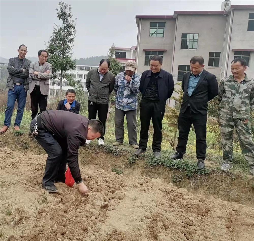 司马冲镇开展别开生面的“司马冲镇玉米大豆复合种植现场培训会”活动