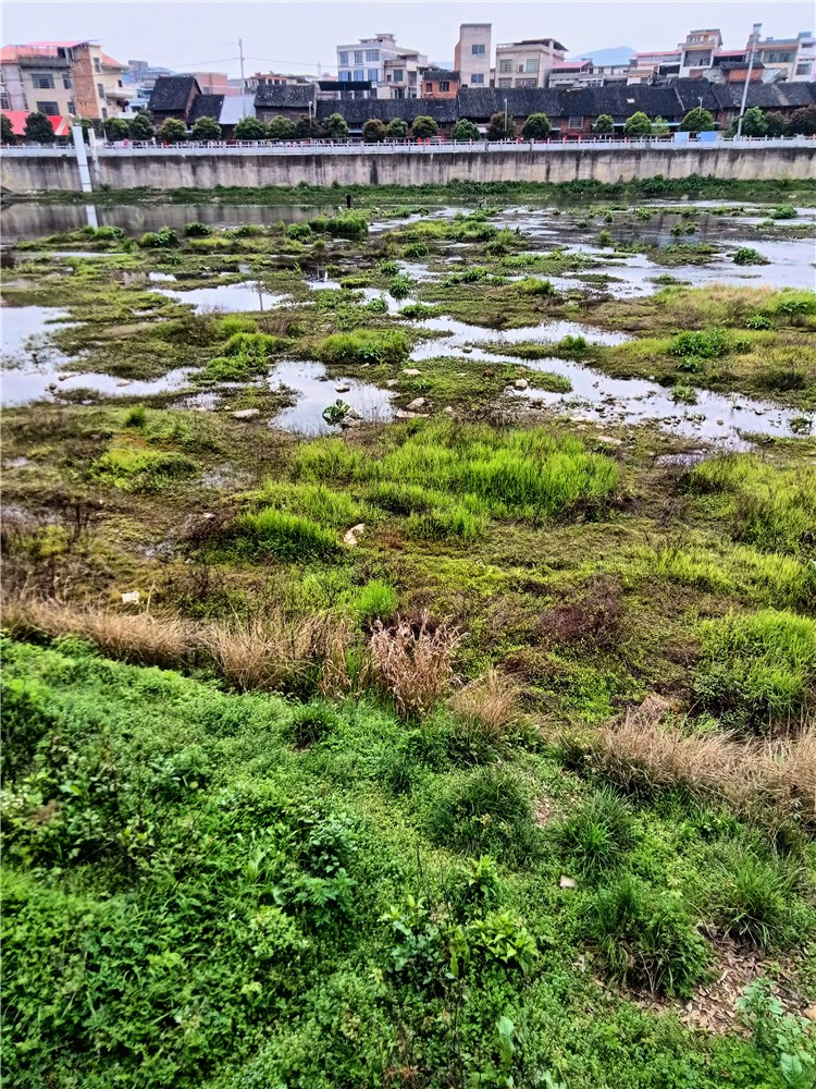 关于复原历史文化名城之我见