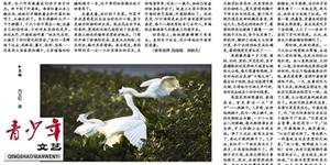 梦中的“花果山”《邵阳日报》