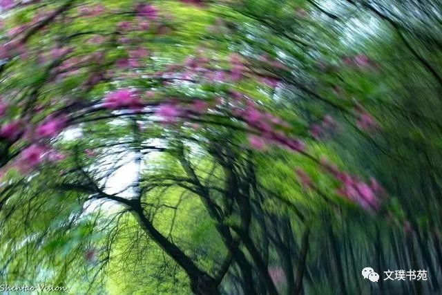 七律 . 端砚产地遊