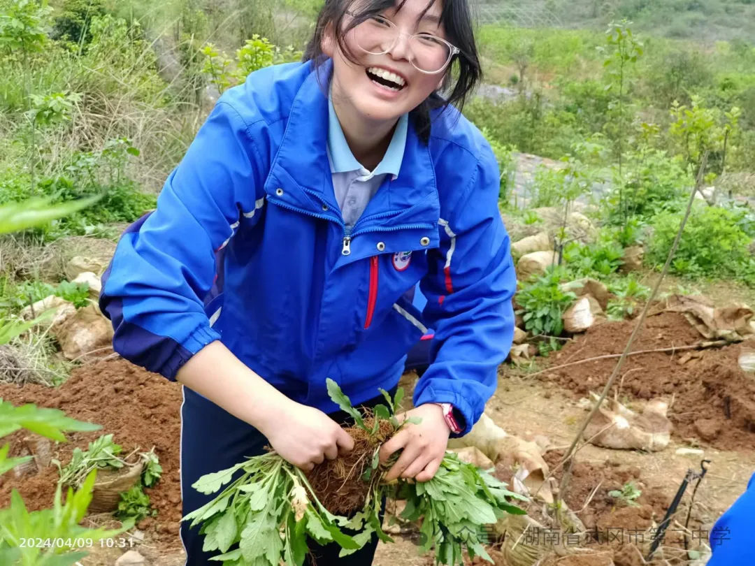 圖片