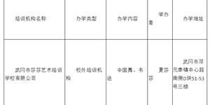 关于拟设立武冈市莎莎艺术培训学校有限公司的公示