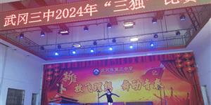 武冈三中：“艺”展芳华 “独”放光彩