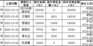 武冈市人民法院终本案件公告2024年第三期