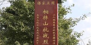 武冈市晏田乡八旬党员夫妻：捐建纪念碑 缅怀英烈魂