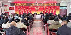 邵阳市委宣讲小分队到武冈宣讲党的二十届三中全会精神