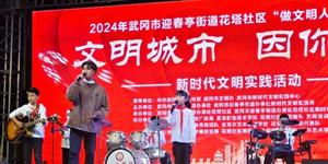 武冈迎春亭街道花塔社区：共建“文明” “卫”爱而行