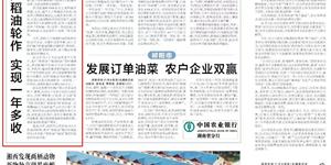 湖南日报丨武冈市推广稻油轮作 实现一年多收