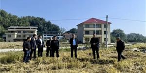 殷绪成带队调研武冈秸秆禁烧和综合利用工作
