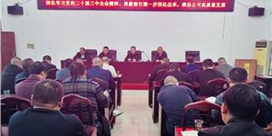 大圳水利水电有限公司：勇毅前行 奋力书写高质量发展新篇章