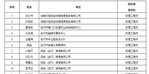 关于2024年度武冈市工程系列初级职称评审拟通过人员的公示