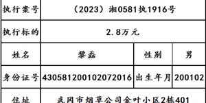 曝光|武冈市人民法院2024年第二十二期失信被执行人名单出炉！