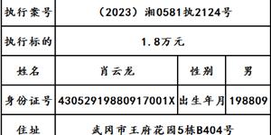 曝光|武岡市人民法院2024年第二十四期失信被執(zhí)行人名單出爐！