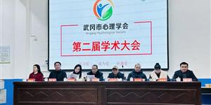 武冈市心理学会举办第二届学术年会