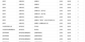 武冈招41名公务员！附单位和职位