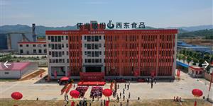 投资1.5亿元！武冈铜鹅屠宰深加工园竣工投产