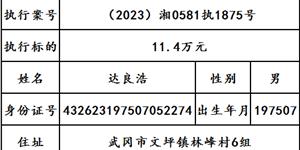 曝光|武冈市人民法院2025年第九期失信被执行人名单出炉！