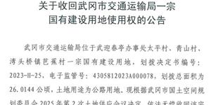 武冈市自然资源局关于收回武冈市交通运输局一宗国有建设用地使用权的公告