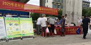 武冈市：法治宣传进湾头桥