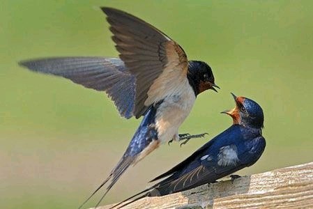 c4bc5db6bd364c64a7b7a5855cf679b8.jpg c4bc5db6bd364c64a7b7a5855cf679b8.jpg