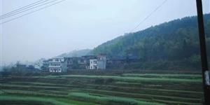岶尔岭的济勇哥，一个闪着光的普通男人