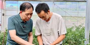 中國(guó)工程院院士來(lái)武岡了！辣椒鹵菜這樣做