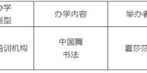 关于拟设立武冈市艺帆艺术培训学校有限公司的公示