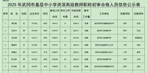 關(guān)于2025年武岡市基層中小學(xué)高級(jí)教師申報(bào)人員初審結(jié)果的公示