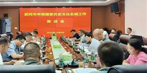 武冈市召开申报国家历史文化名城工作推进会