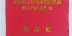 收到一本股权证，股权金额居然是这样的！