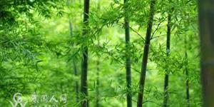 致敬组诗