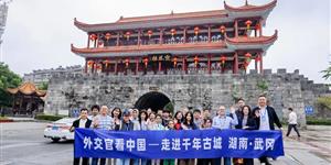 武冈一锅老卤连通世界：与外交官一同体验中国卤味之都的魅力